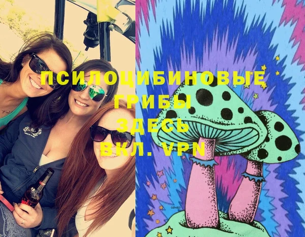 мдпв Киреевск