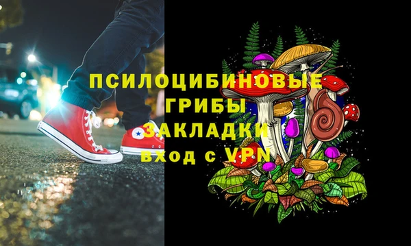 мдпв Киреевск
