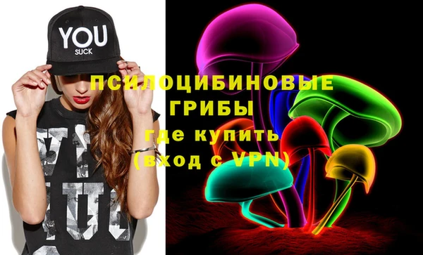 мдпв Киреевск