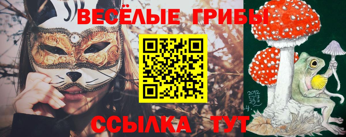 Псилоцибиновые грибы мицелий  Псилоцибиновые грибы Psilocybine cubensis  Вход с VPN  Ленинск-Кузнецкий 
